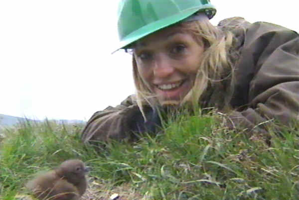 Michaela Strachan